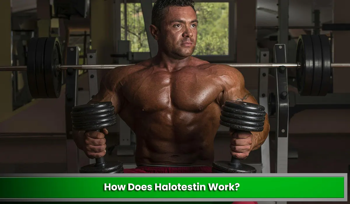 How Does Halotestin Work?