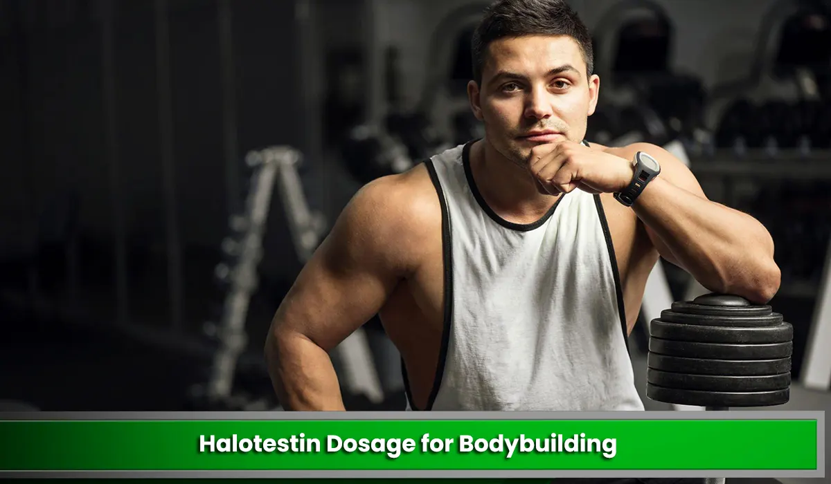 Halotestin Dosage for Bodybuilding