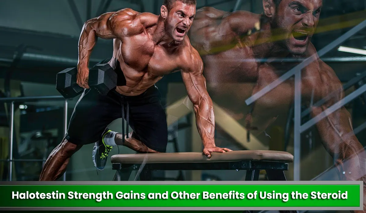 Read more about the article Halotestin Strength Gains and Other Benefits of Using the Steroid
