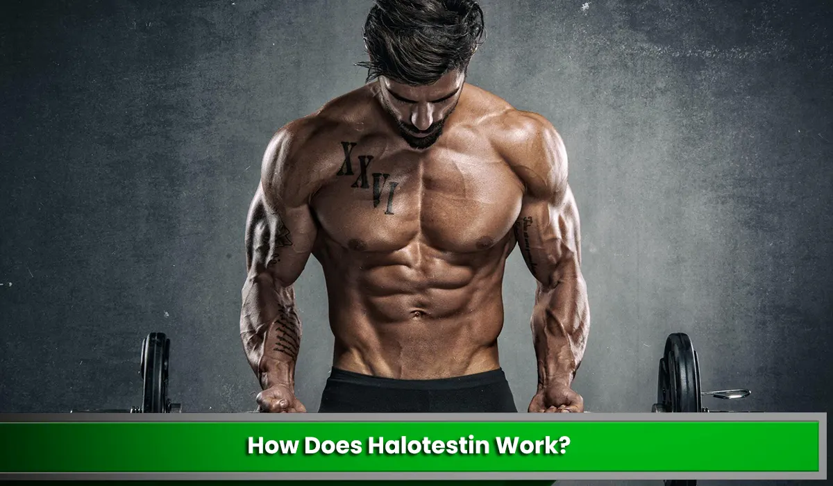 Halotestin Strength Gains and Other Benefits of Using the Steroid